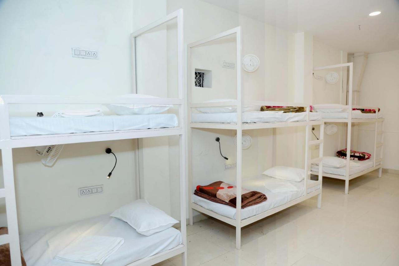 The Charlie'S Hostel New Delhi Exterior photo